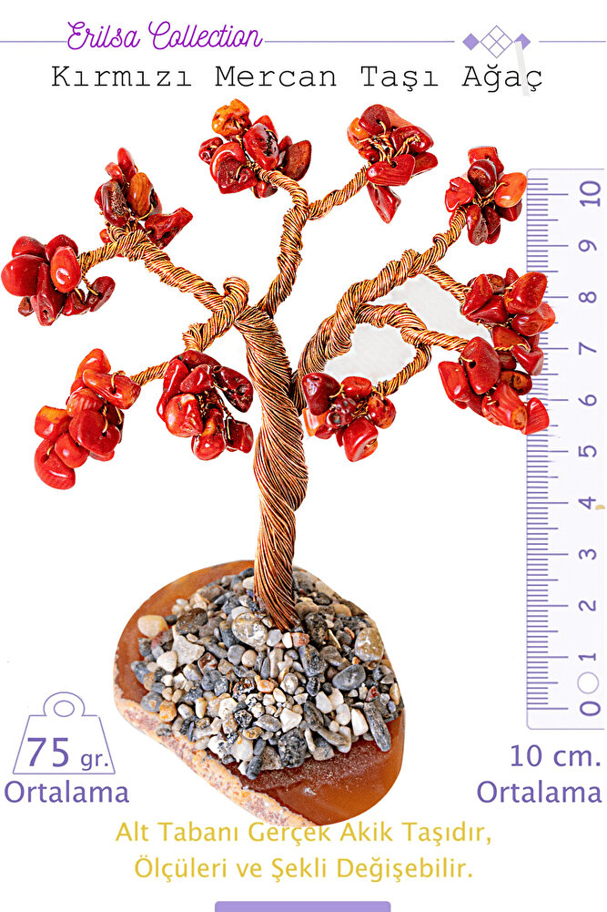 Sertifikalı Gerçek Kırmızı Mercan Taşı Ağaç - Akik Plakalı
